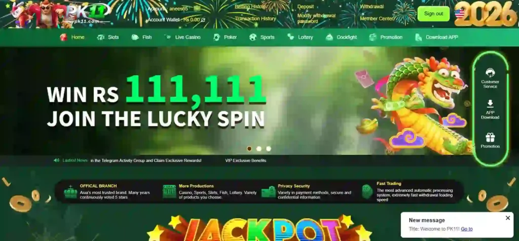 Paki11 Game free casino app for Pakistani users