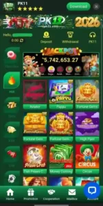 PK11 Game Download Top Online Earning App in Pakistan In 2026 1