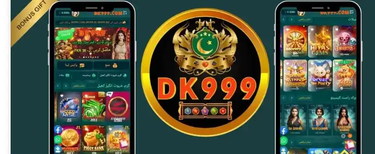 DK999 Game interface